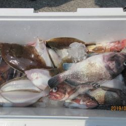 大進丸（新潟） 釣果