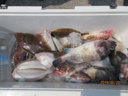 大進丸（新潟） 釣果