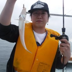 遊漁船 幸友丸 釣果