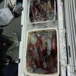 第二大福丸 釣果