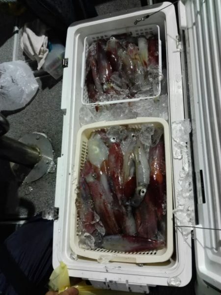 第二大福丸 釣果