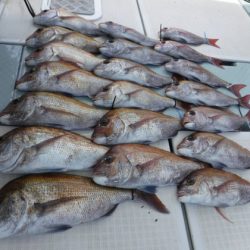 遊漁船 幸友丸 釣果