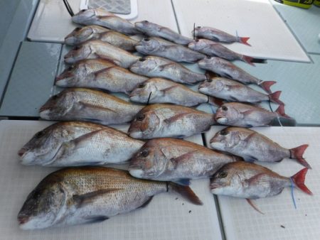 遊漁船 幸友丸 釣果