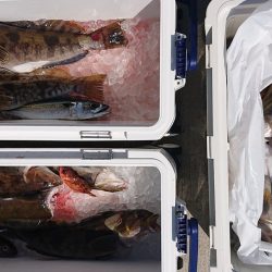 気仙沼　つり丸 釣果