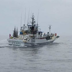 へいみつ丸 釣果