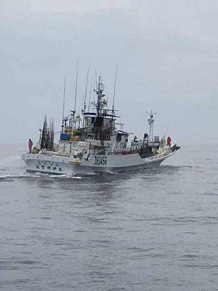 へいみつ丸 釣果
