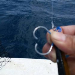 第五慶門丸 釣果