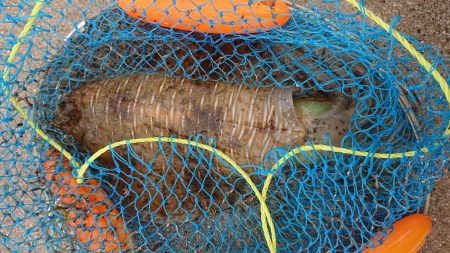 令和4杯目です！