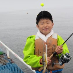 オリジナルメーカー海づり公園(市原市海づり施設) 釣果