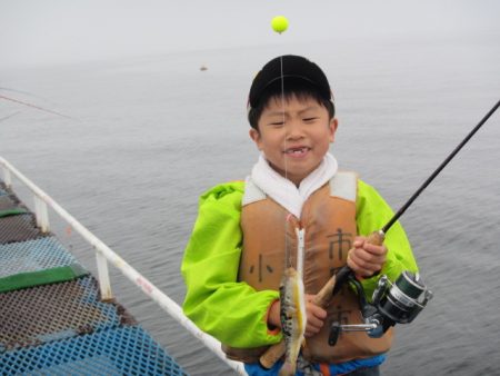 オリジナルメーカー海づり公園(市原市海づり施設) 釣果