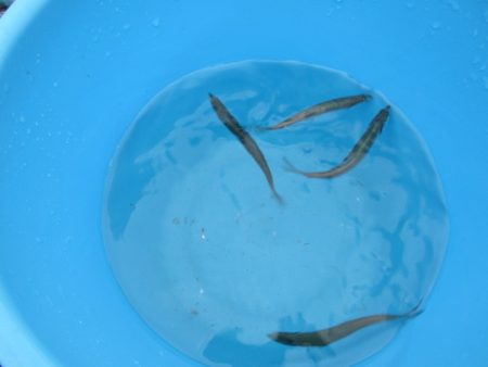 オリジナルメーカー海づり公園(市原市海づり…