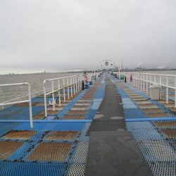 オリジナルメーカー海づり公園(市原市海づり施設) 釣果