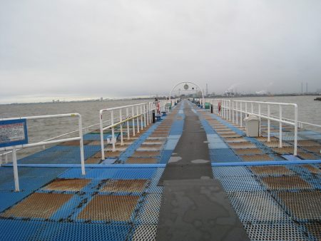 オリジナルメーカー海づり公園(市原市海づり施設) 釣果