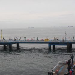 オリジナルメーカー海づり公園(市原市海づり施設) 釣果