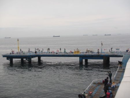 オリジナルメーカー海づり公園(市原市海づり施設) 釣果
