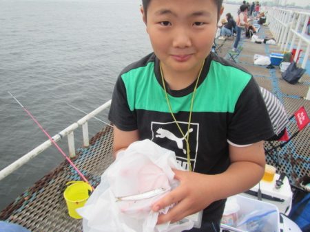 オリジナルメーカー海づり公園(市原市海づり施設) 釣果