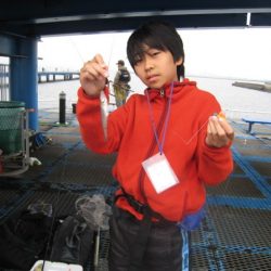 オリジナルメーカー海づり公園(市原市海づり施設) 釣果