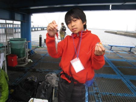 オリジナルメーカー海づり公園(市原市海づり施設) 釣果