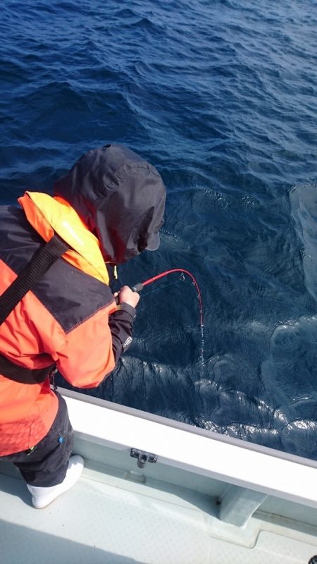 遊漁船ブルーウッズ 釣果