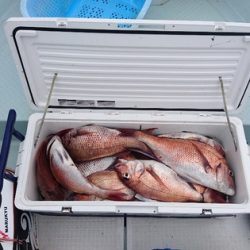 遊漁船ブルーウッズ 釣果