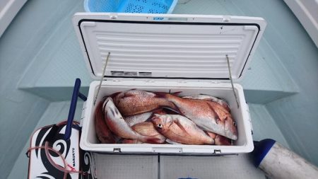 遊漁船ブルーウッズ 釣果