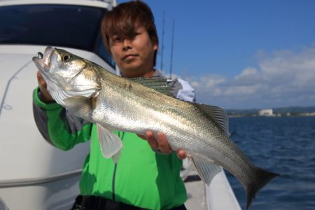 クルーズ 釣果