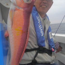 遊漁船 新鋭丸 釣果