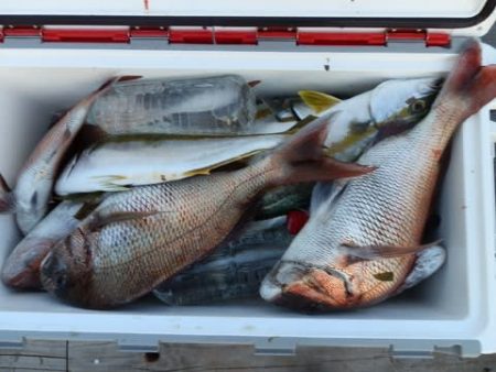 第二むつ漁丸 釣果