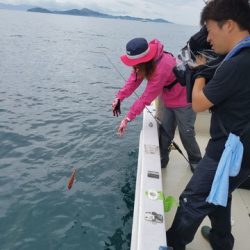 遊漁船 ニライカナイ 釣果