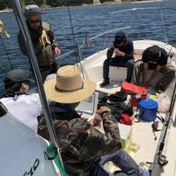 Magic(マジック) 釣果