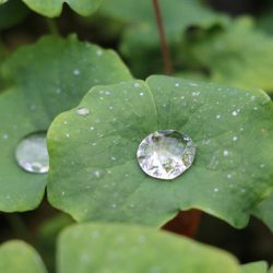 小菅トラウトガーデン 釣果