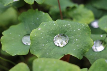 小菅トラウトガーデン 釣果