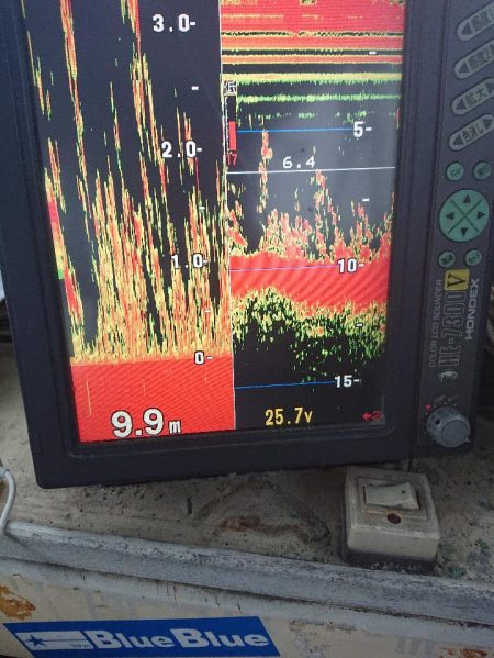 深川 吉野屋 釣果