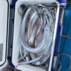 深川 吉野屋 釣果