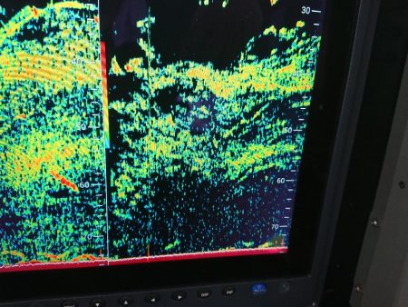 深川 吉野屋 釣果