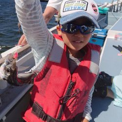 深川　吉野屋 釣果