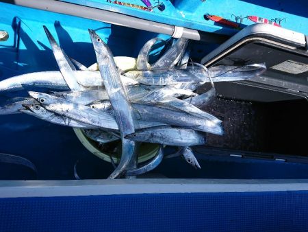 深川 吉野屋 釣果