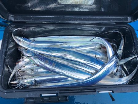 深川　吉野屋 釣果