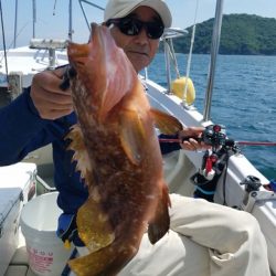 遊漁船 ニライカナイ 釣果