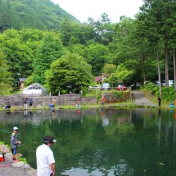 小菅トラウトガーデン 釣果