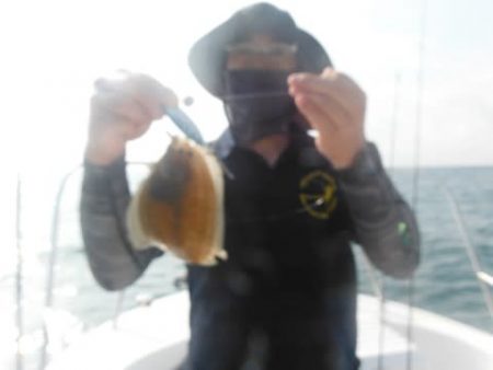 開進丸 釣果