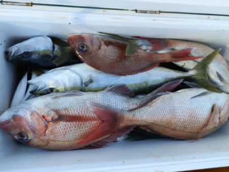 第二むつ漁丸 釣果