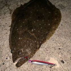 レイズ　記念すべき1投目で！【シャウト（Shout!）レイズ　インプレッション】