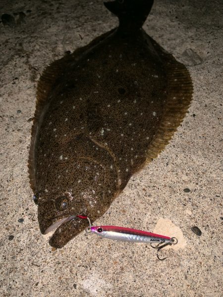 レイズ　記念すべき1投目で！【シャウト（Shout!）レイズ　インプレッション】