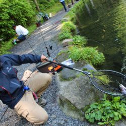 小菅トラウトガーデン 釣果