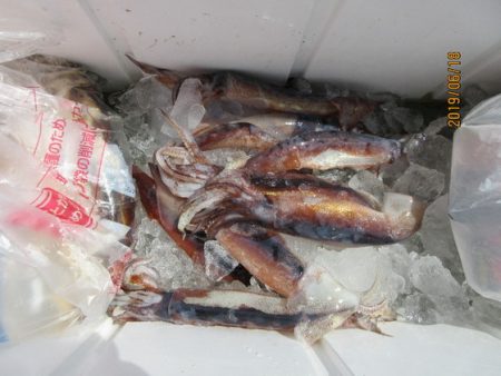 大進丸(新潟) 釣果