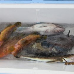 大進丸(新潟) 釣果