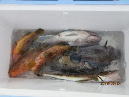 大進丸(新潟) 釣果