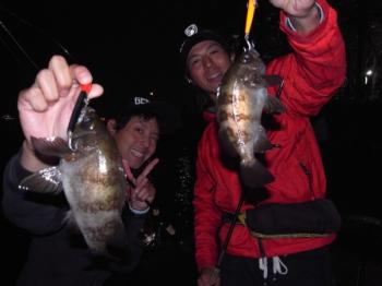 シーマジカル 釣果