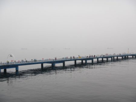 オリジナルメーカー海づり公園(市原市海づり施設) 釣果